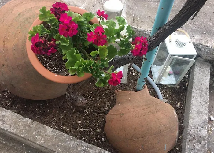 Verani Skála Kallirákhis